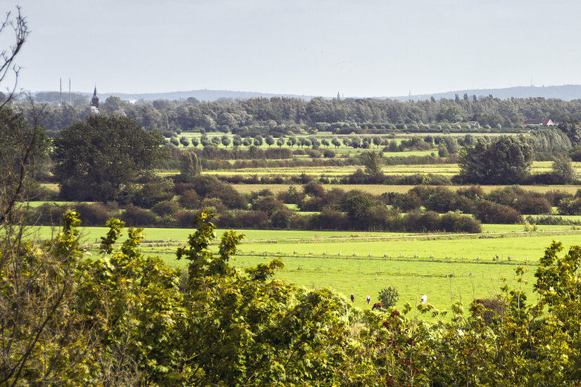 Landschap Ooijpolder